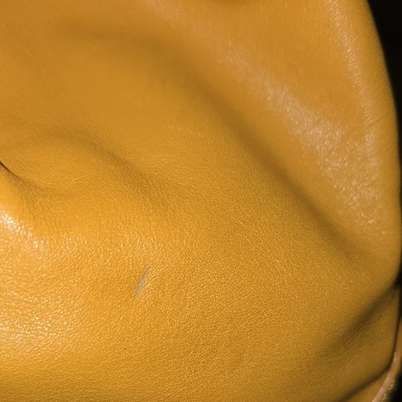 RADLEY LONDON Yellow Hobo Bag with Drawstring Closure - Picture 5 of 9